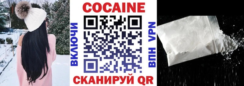 Cocaine FishScale  Купить закладки  Далматово 