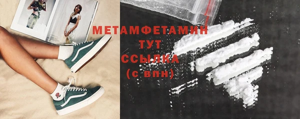 индика Каменка