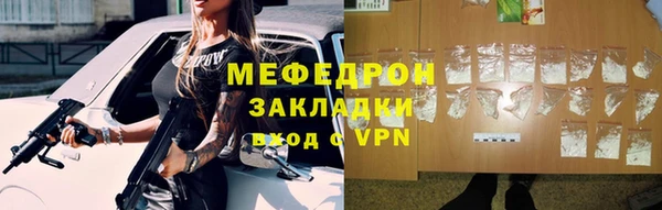 индика Каменка