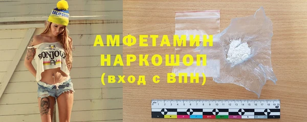 индика Каменка