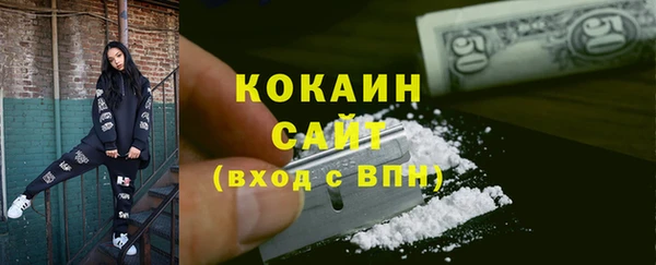 индика Каменка