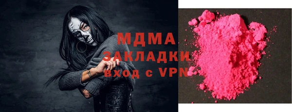 индика Каменка