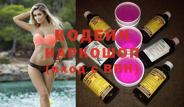 индика Каменка