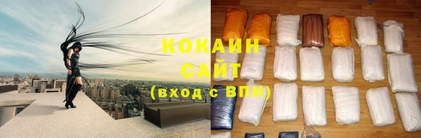 индика Каменка