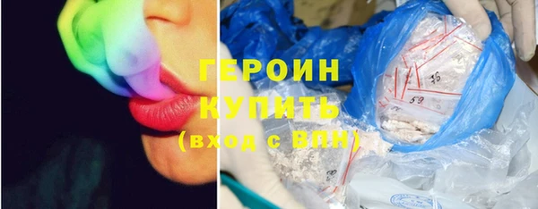 индика Каменка