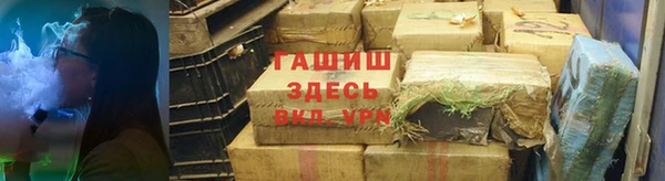индика Каменка