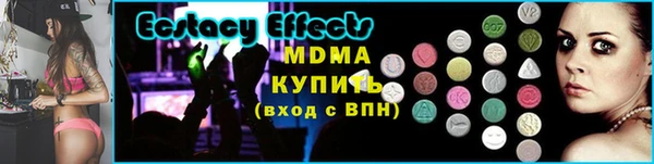 индика Каменка