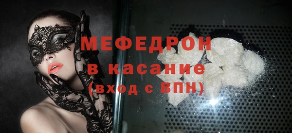 индика Каменка