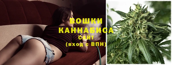 индика Каменка