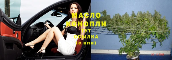 индика Каменка