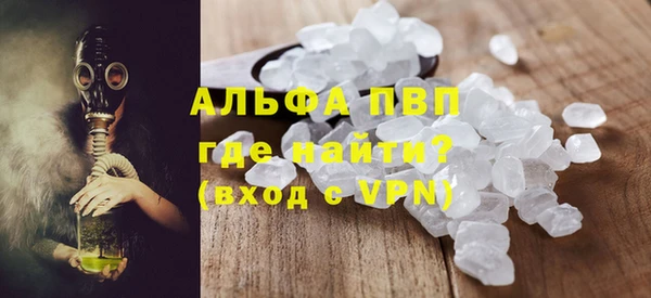индика Каменка